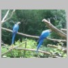 zoo (10).jpg
